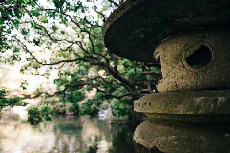 Zen Garden